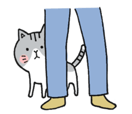Dekosima cat sticker #14580850