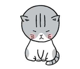 Dekosima cat sticker #14580860