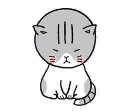 Dekosima cat sticker #14580860