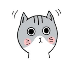 Dekosima cat sticker #14580862