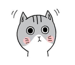 Dekosima cat sticker #14580862