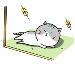 Dekosima cat sticker #14580864