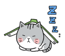 Dekosima cat sticker #14580866