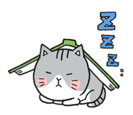 Dekosima cat sticker #14580866