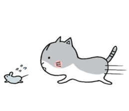 Dekosima cat sticker #14580867