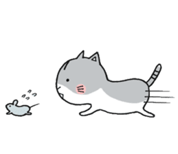 Dekosima cat sticker #14580867