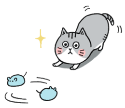 Dekosima cat sticker #14580868