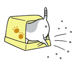 Dekosima cat sticker #14580869