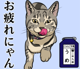 Nyanko school(PART9) sticker #14581120