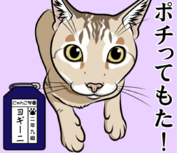 Nyanko school(PART9) sticker #14581122