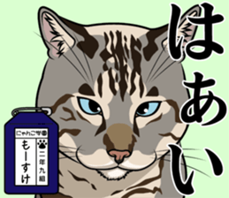 Nyanko school(PART9) sticker #14581126