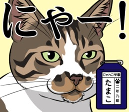 Nyanko school(PART9) sticker #14581131