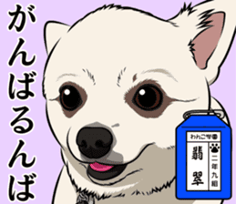 Wanko school(PART2) sticker #14581303