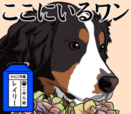 Wanko school(PART2) sticker #14581313