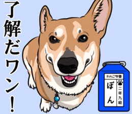 Wanko school(PART2) sticker #14581314