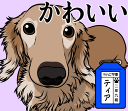 Wanko school(PART2) sticker #14581316