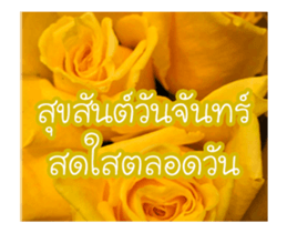 Today is a happy day sticker #14582142