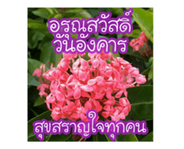 Today is a happy day sticker #14582143