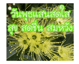 Today is a happy day sticker #14582144