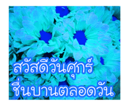 Today is a happy day sticker #14582146