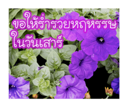 Today is a happy day sticker #14582147