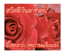 Today is a happy day sticker #14582148