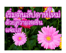 Today is a happy day sticker #14582149