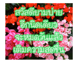 Today is a happy day sticker #14582150