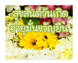 Today is a happy day sticker #14582153