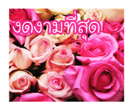 Today is a happy day sticker #14582155