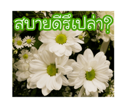 Today is a happy day sticker #14582156