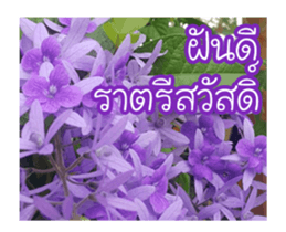 Today is a happy day sticker #14582157