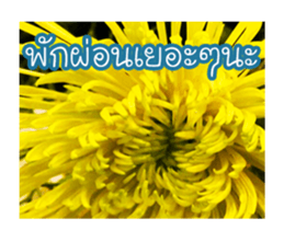 Today is a happy day sticker #14582158