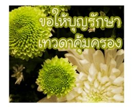 Today is a happy day sticker #14582159