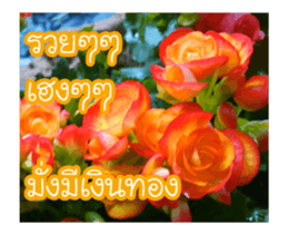 Today is a happy day sticker #14582160