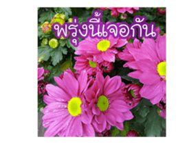 Today is a happy day sticker #14582161