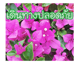 Today is a happy day sticker #14582162