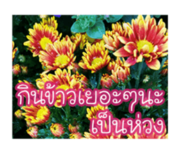 Today is a happy day sticker #14582163