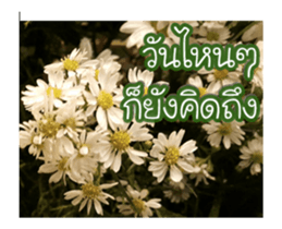 Today is a happy day sticker #14582164