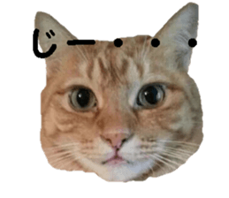 Mr,chataro sticker #14582286