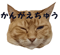 Mr,chataro sticker #14582287