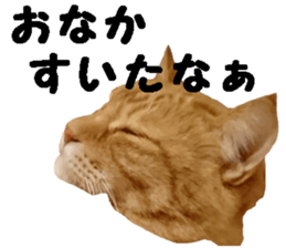 Mr,chataro sticker #14582288