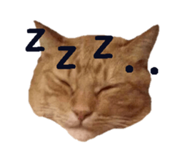 Mr,chataro sticker #14582290