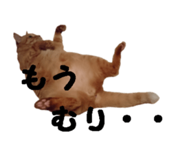 Mr,chataro sticker #14582291