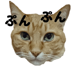 Mr,chataro sticker #14582292