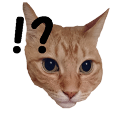 Mr,chataro sticker #14582293