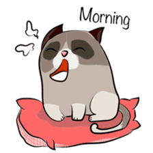 Cute Grumpy Cat sticker #14583679