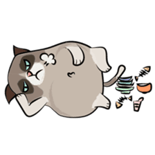 Cute Grumpy Cat sticker #14583689