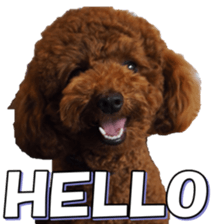 doggiesfan5 sticker #14584918