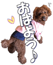 doggiesfan5 sticker #14584919